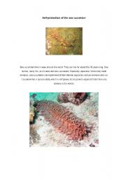 English worksheet: Story of the day,Self-protection of the sea cucumber.