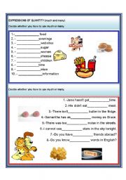English Worksheet: much and many