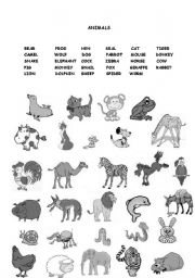 English Worksheet: Animals B&W