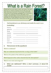 English Worksheet: Rain forest