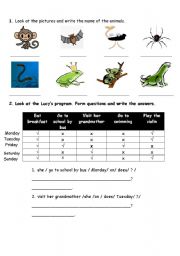 English worksheet: animal