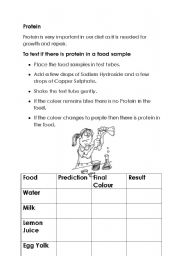 English worksheet: test for protein
