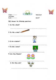 English Worksheet: yes-no questions