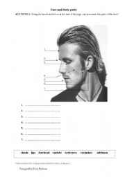 English worksheet: Face and body vocabulary