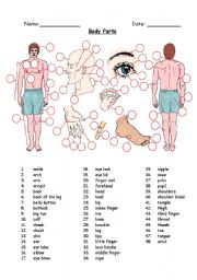 English Worksheet: Body Parts