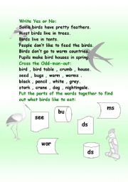 English Worksheet: Birds in spring