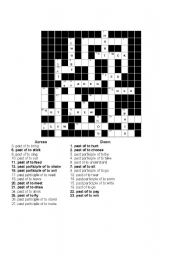 English worksheet: Irregular Verb Crossword