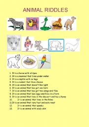 English Worksheet: animal riddles