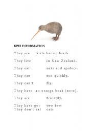 English worksheet: Kiwi information sentence cut and match