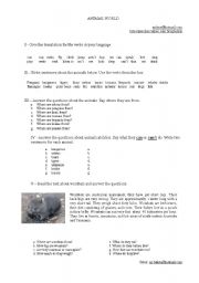 English worksheet: Wombats and Penguins