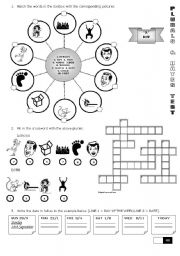 PLURALS & DATES TEST