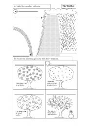 English Worksheet: The weather
