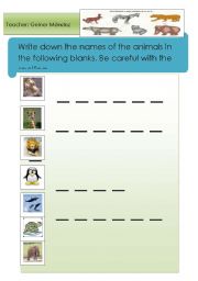 English worksheet: Animals