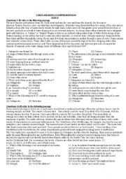 English Worksheet: Reading Comprehension