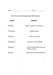 English Worksheet: Body Systems
