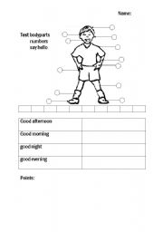 English worksheet: Test Body