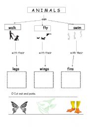 English worksheet: How animals move
