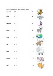 English worksheet: ANIMALS