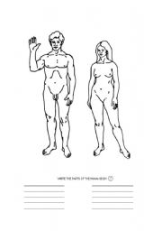 English worksheet: HUMAN BODY