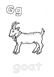 English worksheet: goat