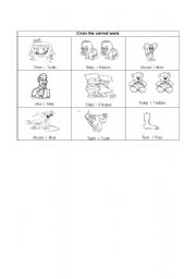 English Worksheet: PLURAL