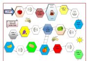 Board game-fruit and vegetable part 1