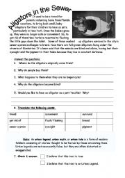 English Worksheet: Alligators in the Sewer - Urban Legend?