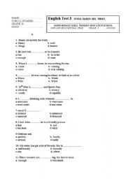 English Worksheet: example of exam