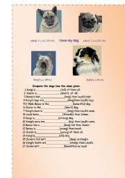 English Worksheet: I LOVE MY DOG