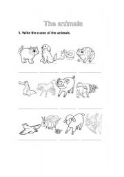 English worksheet: Animals