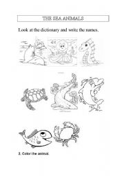 English worksheet: Sea animals