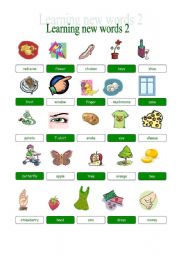 English Worksheet: VOCABULARY MATCHING