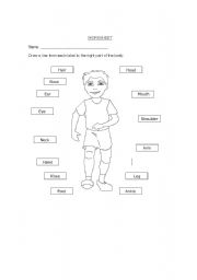 English Worksheet: Parts of body