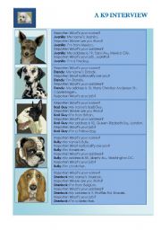 English Worksheet: A k9 interview