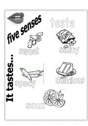 English Worksheet: five senses