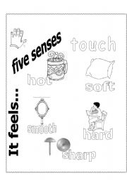 English Worksheet: five sences touch & hearing