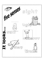 five senses