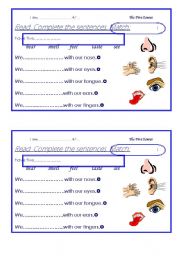 English Worksheet: five senses