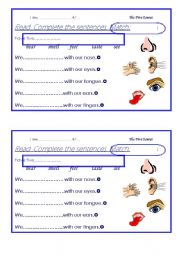 English Worksheet: five senses