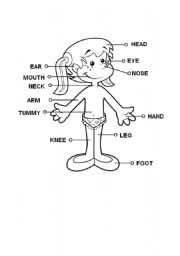 English Worksheet: Parts of the body