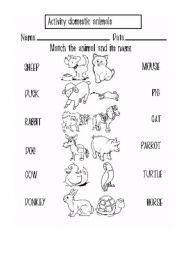 English Worksheet: domestic animals