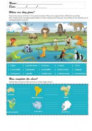 English Worksheet: Where are the animals from?