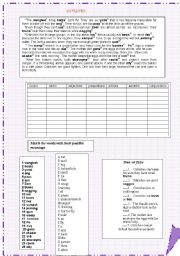 English Worksheet: PARTS OF SPEECH 2