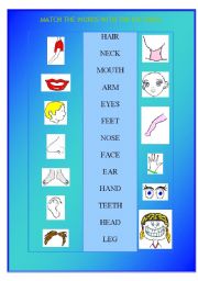 English worksheet: Body parts