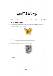 English Worksheet: Animal Riddles