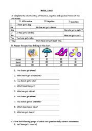 English Worksheet: HAVE / HAS