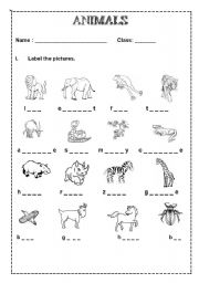 English Worksheet: ANIMALS