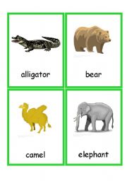 Zoo Animals Flashcards