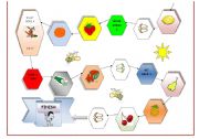 English Worksheet: Board game-fruit and vegetable part 2