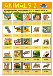 English Worksheet: Animals